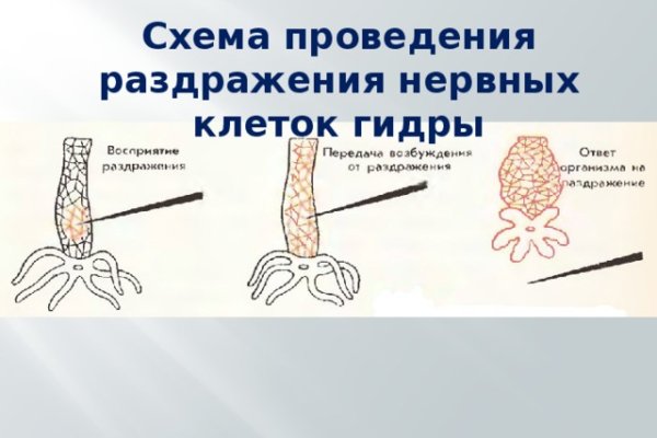 Кракен оригинальные ссылка в тор