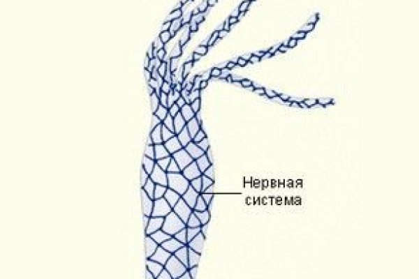 Kraken сайт tor