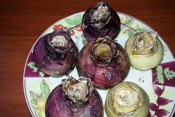 Ошибка на сервере кракен