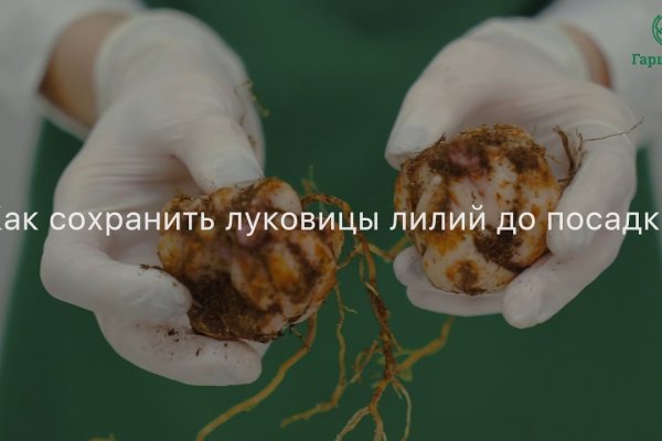 Кракен ссылка onion