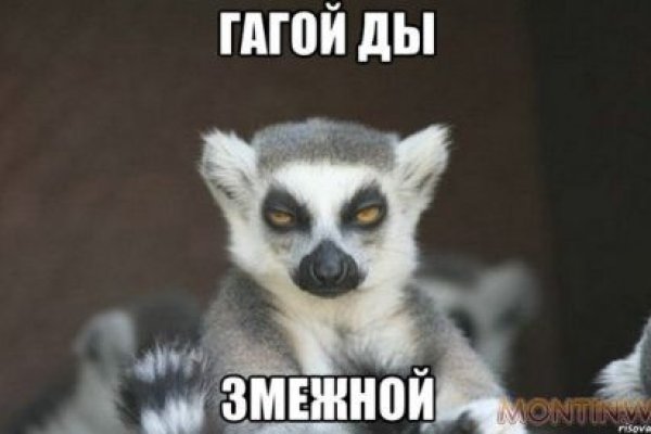 Kraken com зеркало
