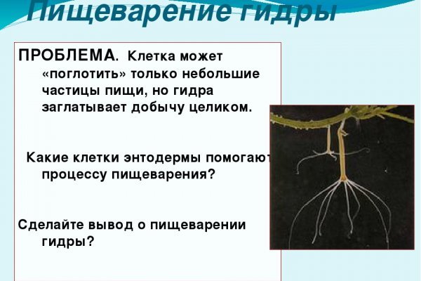 Ссылка на кракен даркнет