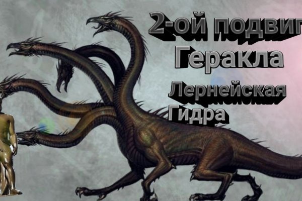 Kraken 20at