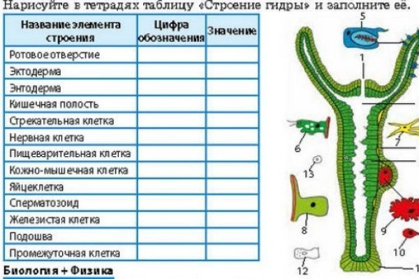 Почему не заходит на кракен