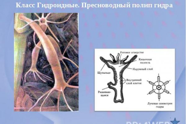 Кракен лого маркетплейс