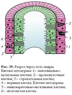Кракен дарксайд 2025 ссылка