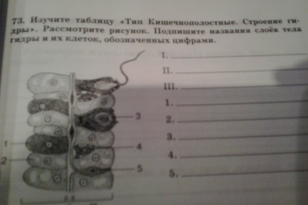 Даркнет площадки