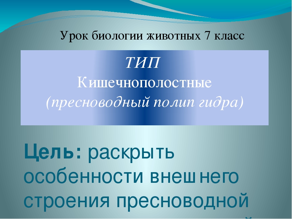 Кракен зеркало тор