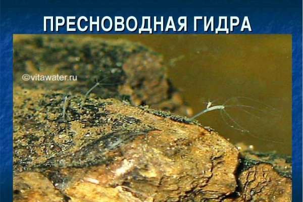 Кракен как зайти ссылка